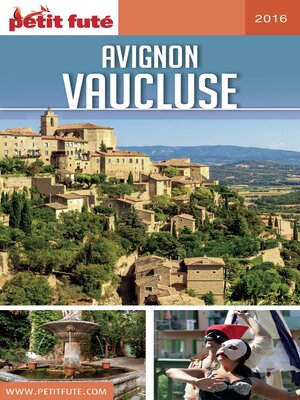 cover image of AVIGNON--VAUCLUSE 2016/2017 Petit Futé